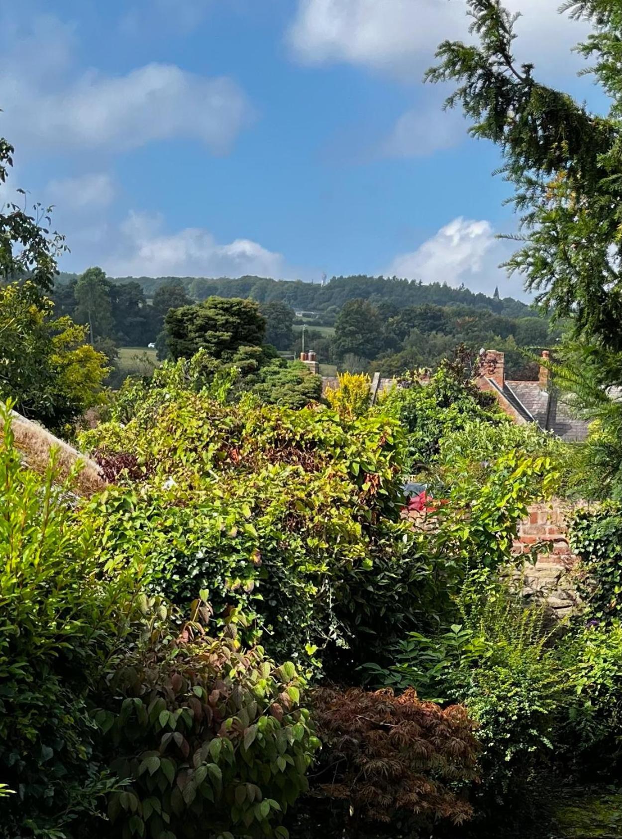Flower Cottage By Ludlow Castle With Onsite Parking 外观 照片