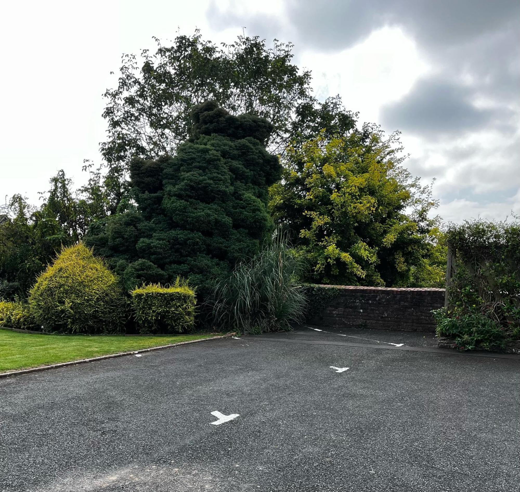 Flower Cottage By Ludlow Castle With Onsite Parking 外观 照片